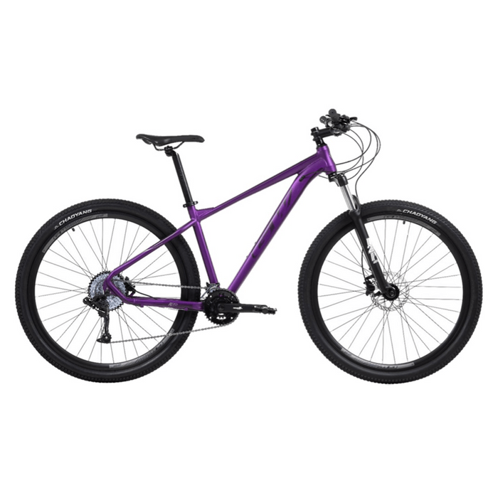 BCTA 29 GW HYENA 9 X2 MTB HIDRAU GRUPO GW (060702)