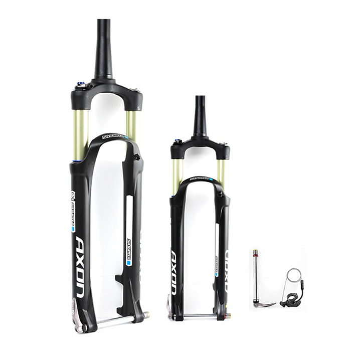 SUSPENSION 29 SUNTOUR SF16-AXON RL-RC 100 15QLC2 CTS CONICA (606668)