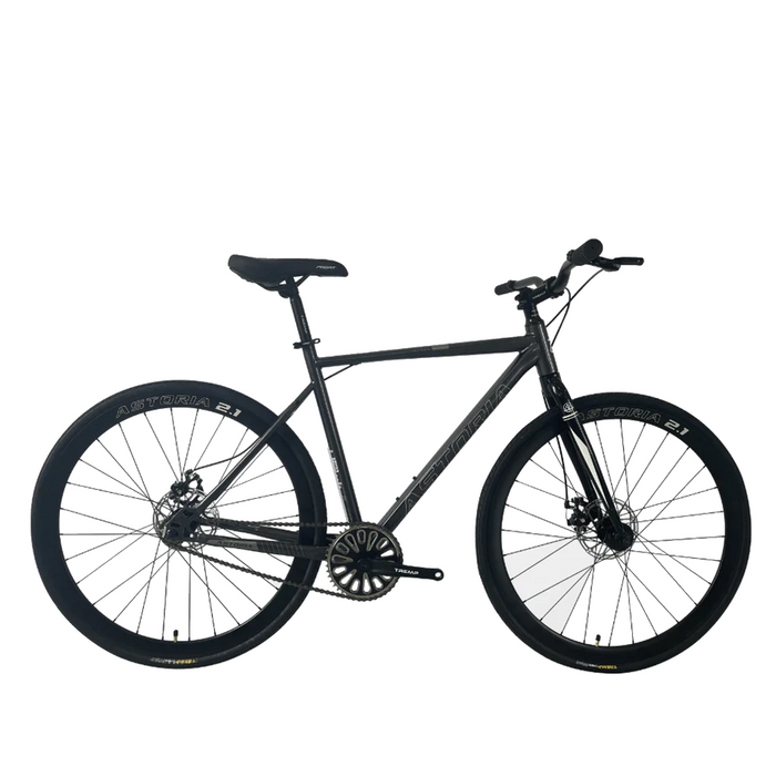 BICICLETA 700 ASTORIA 2.1 ACERO 1*53 (BIAST213)