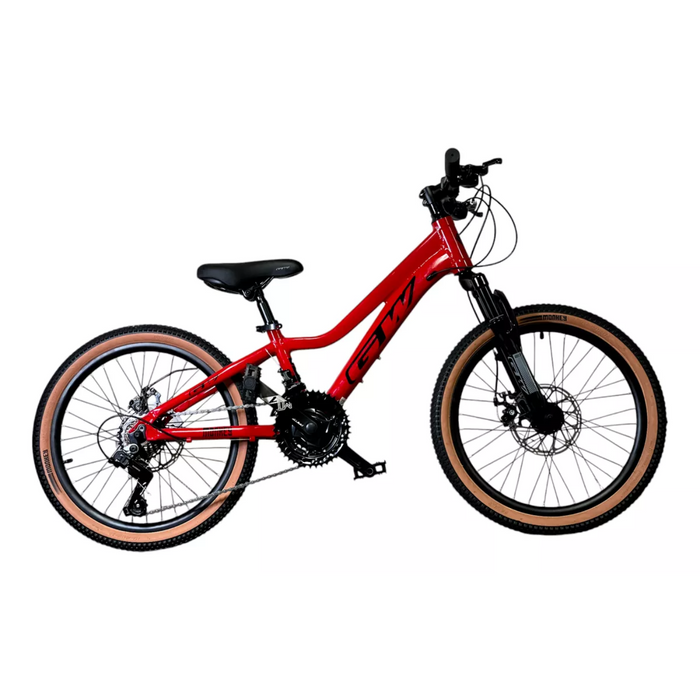 BICICLETA RIN 20 GW MONKEY (060728)