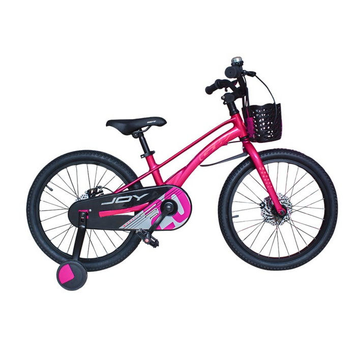 BICICLETA RIN 20 GW JOY MAG (060744)