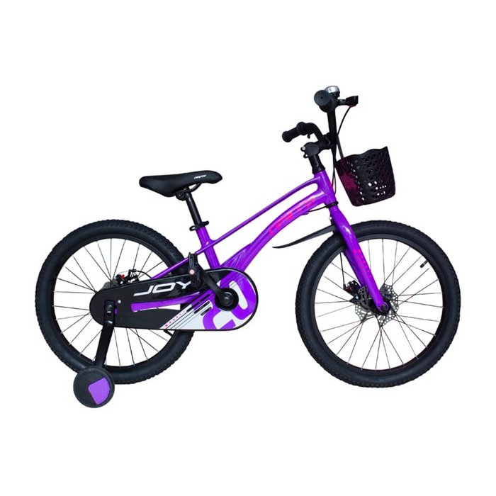 BICICLETA RIN 20 GW JOY MAG (060744)